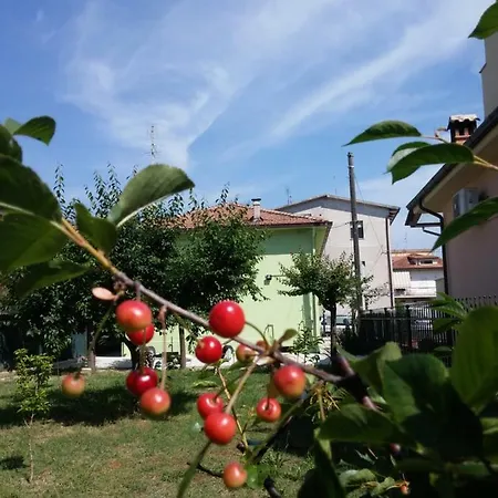 Bed & Breakfast Da Nonna Peppa Civitanova Marche